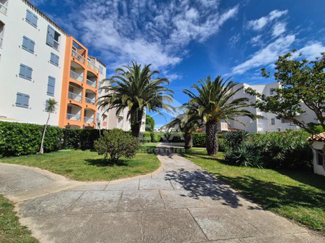 Appartement poétique à vendre à Saint Cyprien, vue Canigou