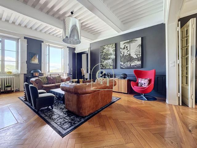 Vienne, coeur historique un appartement qui a une âme 252 m