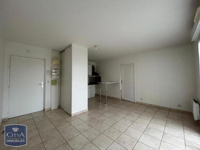 Appartement RDC 35 m2 2 pièces