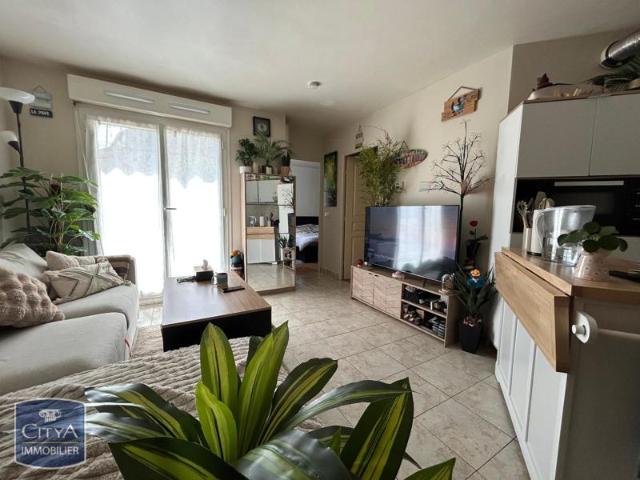 Appartement RDC 35 m2 2 pièces
