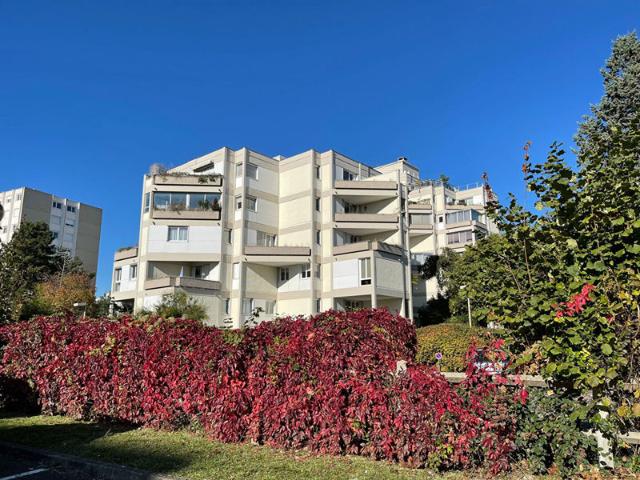 Appartement RDC 80 m2 4 pièces