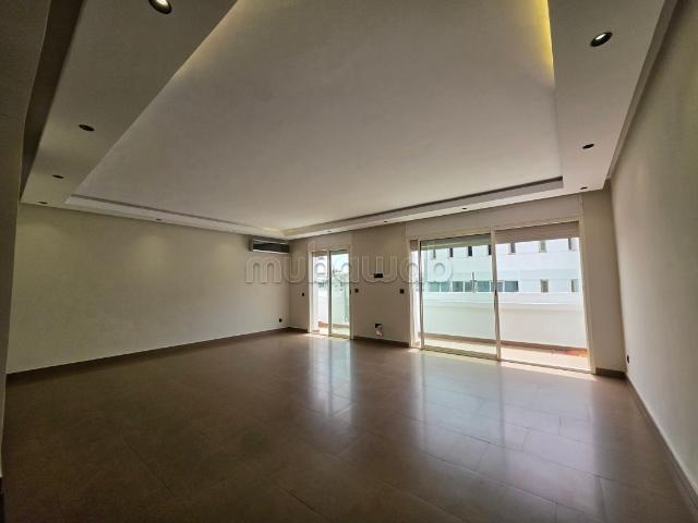 Appartement rénové 162 m², terrasse, Racine