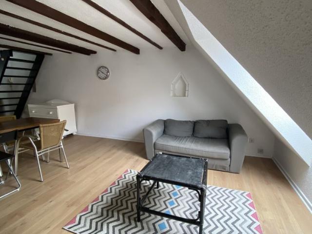 APPARTEMENT RENOVE MEUBLE EN CENTRE VILLE
