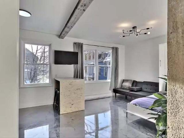 Appartement Rénové Tout Meublé
