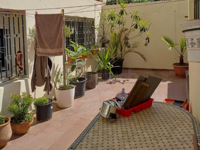 Appartement rez chaussée Orangers