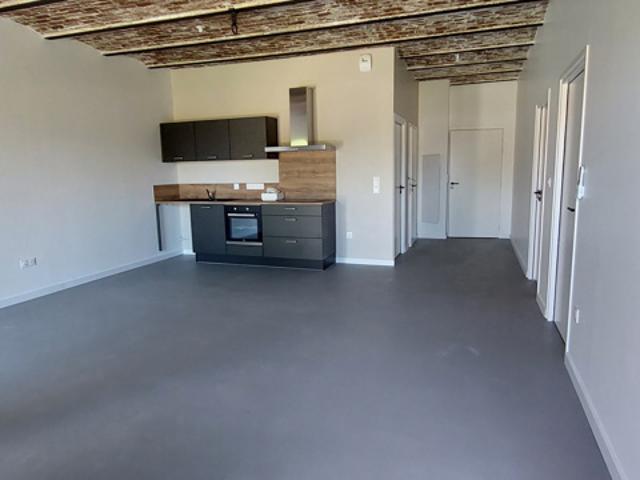APPARTEMENT REZ DE CHAUSSEE AVEC JARDIN