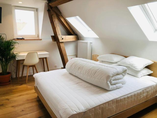 Appartement Schaerbeek 1030