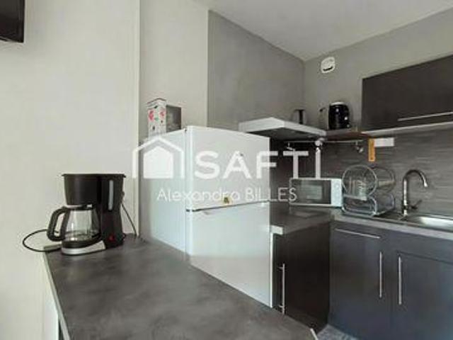 Appartement Saint Cyprien Languedoc Roussillon 66750 DLS88941875