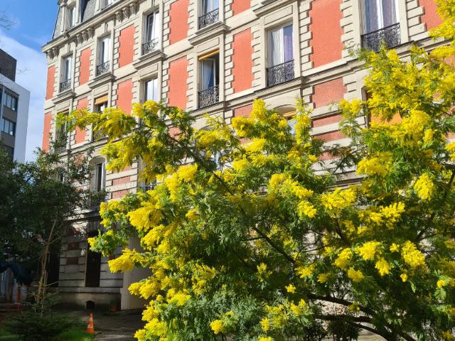 appartement saint denis f1/f2
