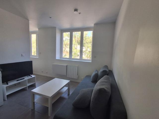 Appartement Saint Etienne 1 pièce s 24.57 m2