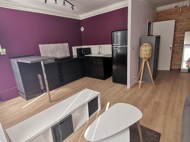 Appartement Saint Etienne 2 pièce s