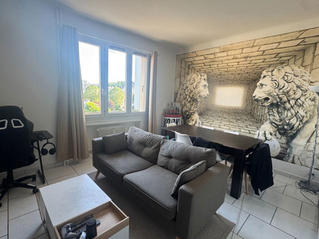Appartement Saint Etienne 2 pièce s