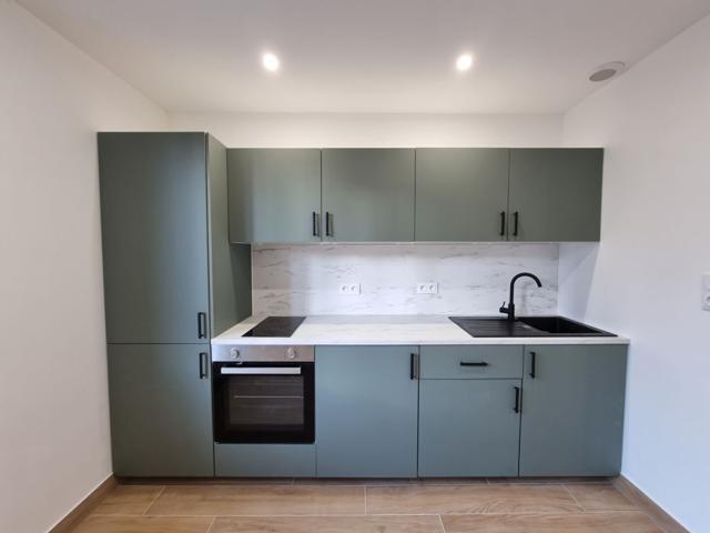 Appartement Saint Etienne 3 pièce s 46 m2