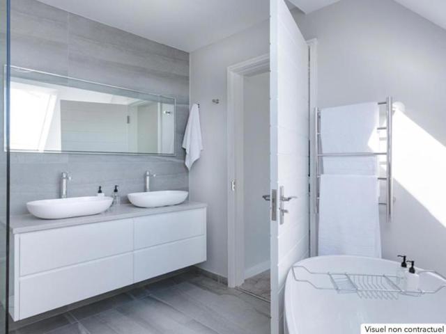 Appartement Saint Romain Au Mont D Or 3 pièce s 58 m2