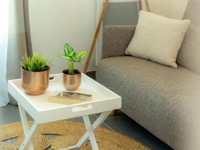 Appartement Strasbourg 1 pièce Urbanéo Rue de la Ganzau
