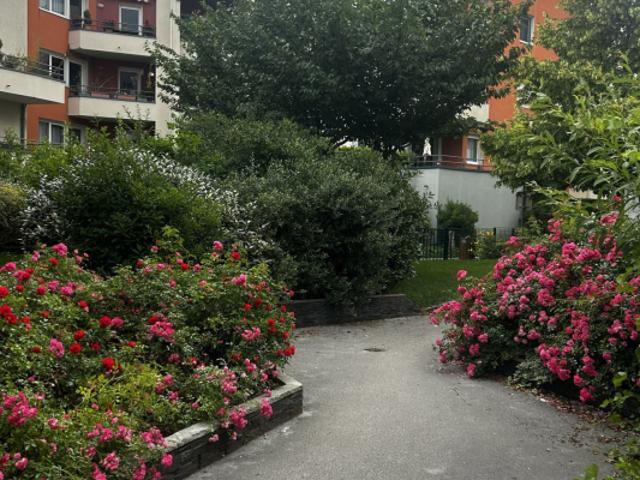 APPARTEMENT STUDIO ANNECY