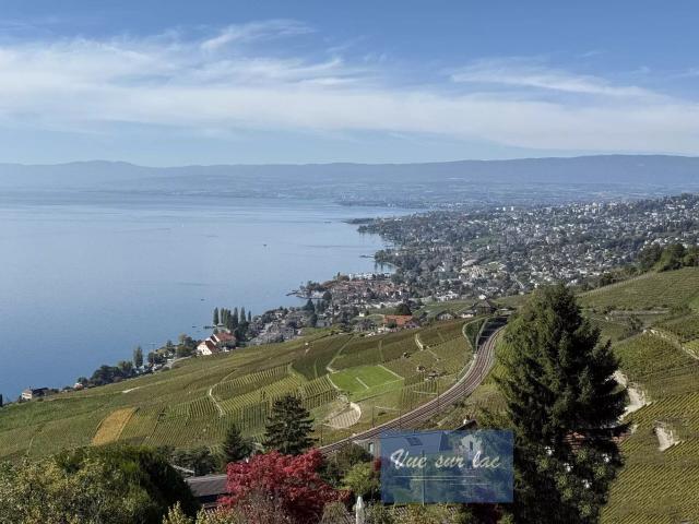 Appartements neufs, vue panoramique sur le lac! Dreamo. Ch