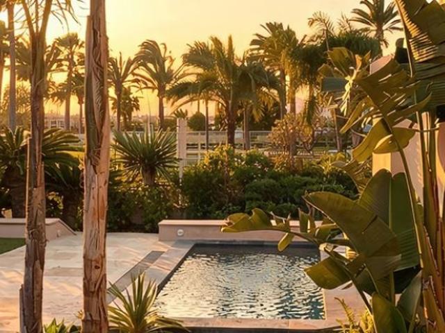 Appartement/Villa 6 pièces Jardin Cannes Croisette