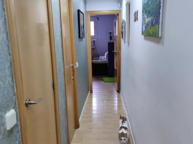 Appealing double bedroom in Esplugues de Llobregat