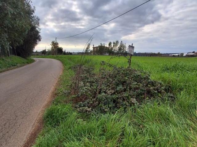 Appezzamento di terreno agricolo