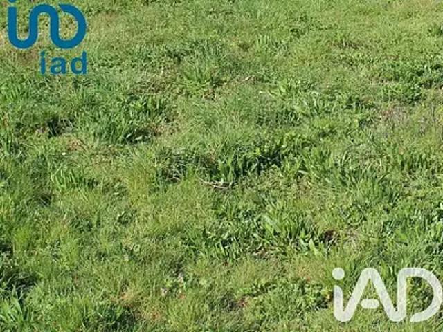 Apremont 85220 Achat / Vente terrain