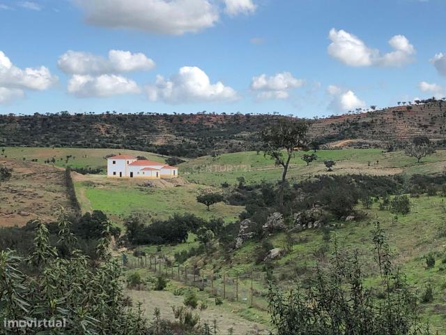 Apresento esta espetacular Herdade Alentejana em Ourique com 25 Hectar