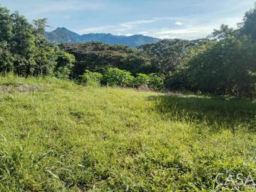 Aprox 5Hec. De Terreno Mayormente Plano En Volcancito, Boquete