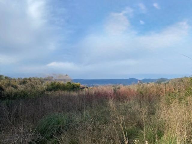 Apt Vente Terrain 84