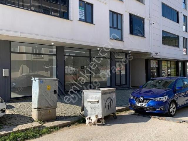 Armutlu'da Satılık 198 M² Dükkan: Belediye Ve Kaymakamlık Yanı