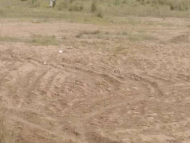 Army land Lodhran ID 06987
