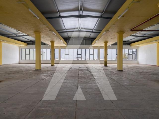 Armazém / Atividade industrial ou Logística com 1.750m2 Fração A junto ao aeroporto excelentes acessos N/S Espanha