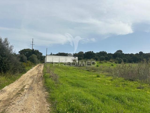 Armazém à venda em Aveiras de Cima, concelho de Azambuja, Lisboa, Portugal
