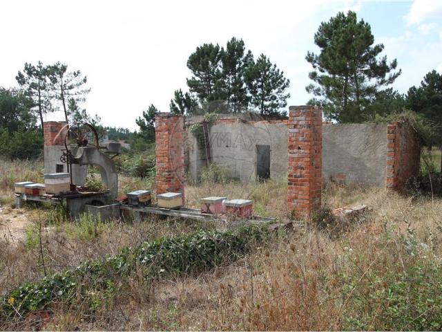 Armazém à venda em Tábua