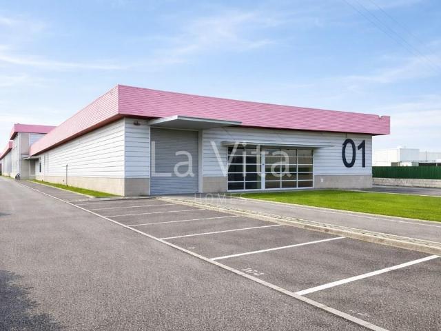 Armazém Abrunheira Sintra. 584m² Sintra Santa Maria E São Miguel