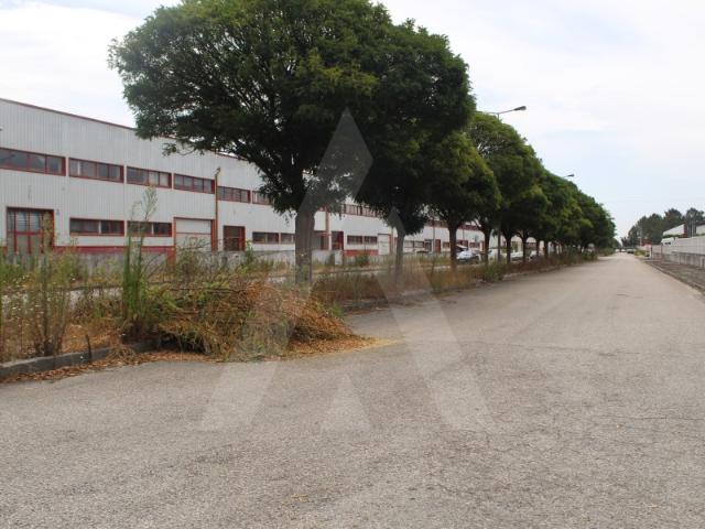 Armazém, Albergaria A Velha e Valmaior, Albergaria a Velha | BPI Expresso Imobiliário