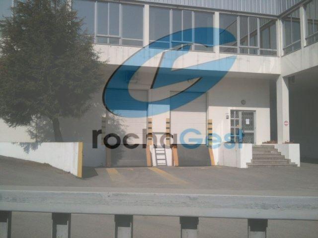 ARMAZEM CANELAS QUALIDADE SUPERIOR ALVARA EXPLORACÃO INDUSTRIAL