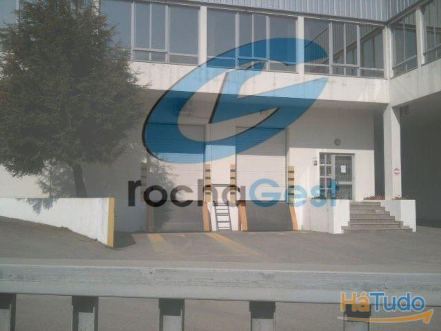 ARMAZEM CANELAS QUALIDADE SUPERIOR | 26084075750