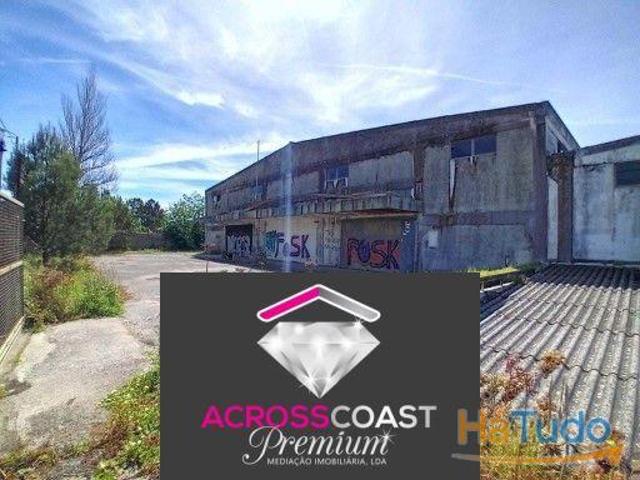 Armazém com 6500m2 | 26064057735