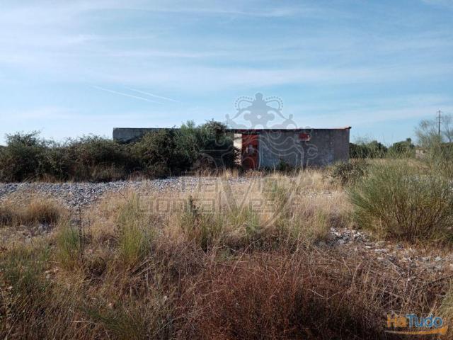 Armazém com 1ha de Terreno | 26083253840