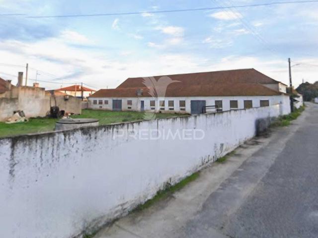 Armazém com terreno urbanizável