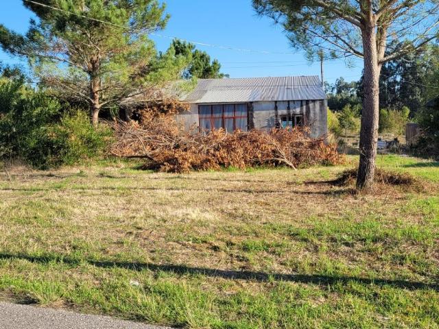 Armazém com terreno