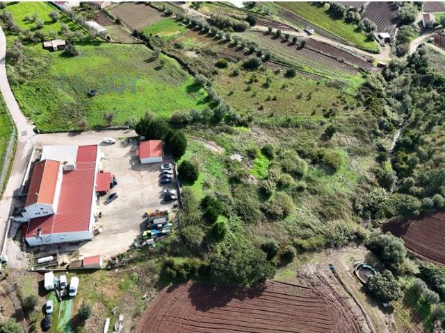 Armazém e Terrenos Rústicos para Venda em Moninhos Loures