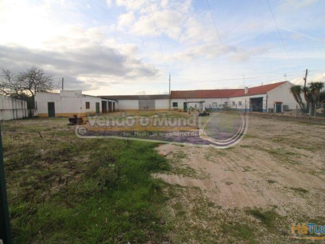 Armazém em Montinhos dos Pegos CRCH161 | 26083919161