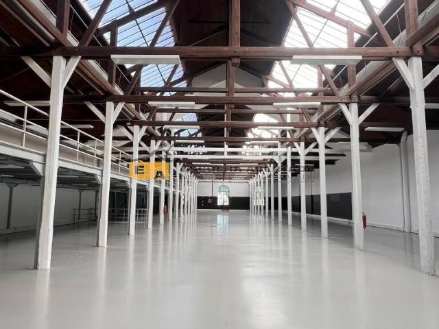 Armazém em centro Empresarial Paranhos