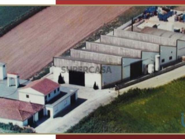 Armazém em Ílhavo São Salvador de 3000,00 m²