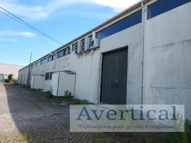 Armazém Industrial C/ 3000m2 e 3300m2 de Logradouro