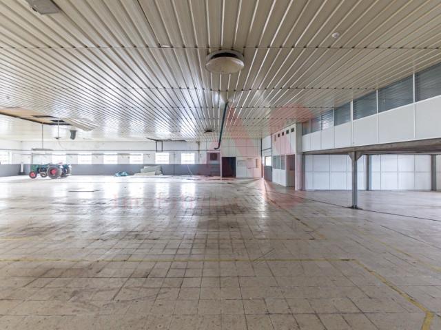 Armazém Industrial com Ampla Área de Terreno 2 Lotes Incluídos Regilde