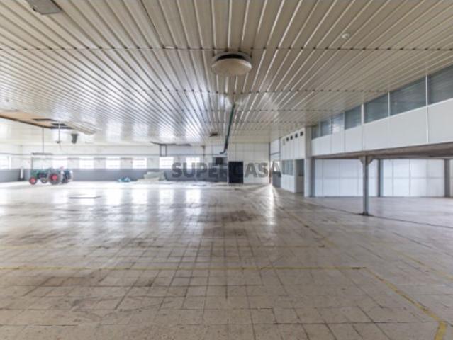 Armazém Industrial com Ampla Área de Terreno 2 Lotes Incluídos Regilde