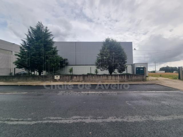 Armazém Industrial Albergaria a Velha
