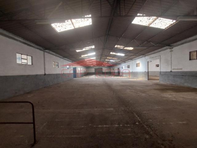 Complexo Industrial em Mangualde: Armazém e Escritórios 3.794 m² de Área Coberta